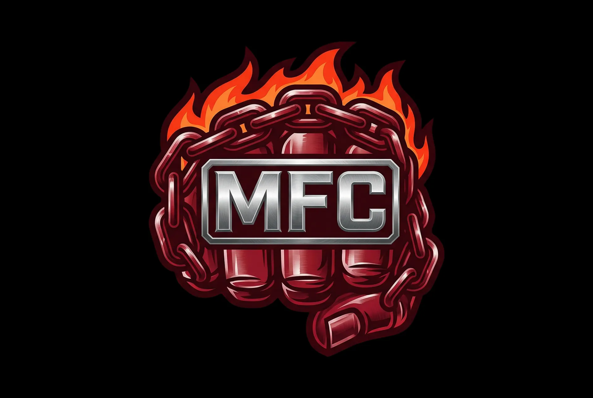 FH体育网站 官方Logo